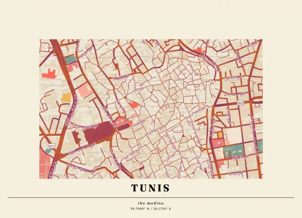 The mapalette “The Tunis medina”