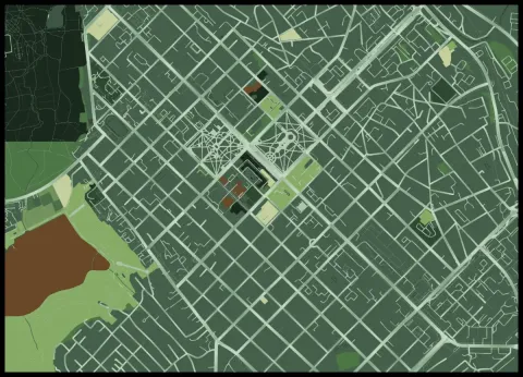 Preview of Chisinau in fern