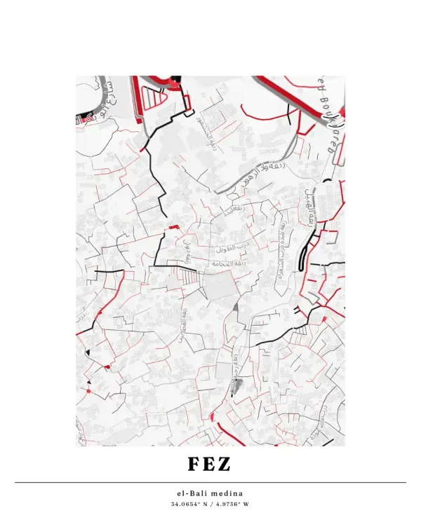 The mapalette “Fez, alleys inked”